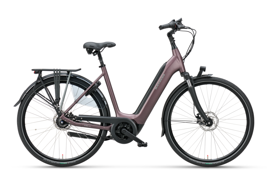 Behoren Op risico Bukken Elektrische fiets kopen? | Ontdek de Batavus e-bikes