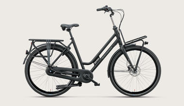 Batavus Quip