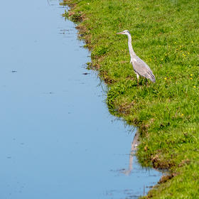 Broek in Waterland