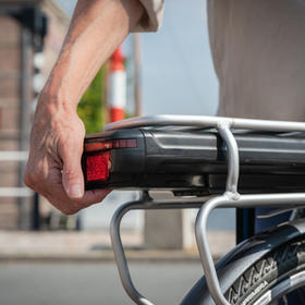 Benadrukken Inactief Europa Elektrische fiets met lage instap kopen? Batavus Entree
