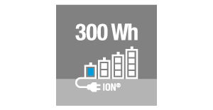 300ion 300ion